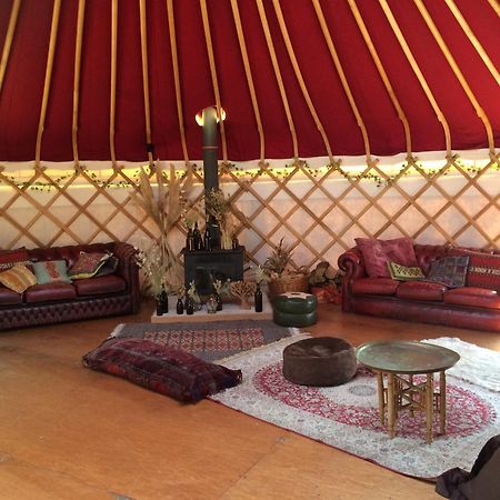 Silver Airstream Glamping & Rental Chichester Eksteriør bilde