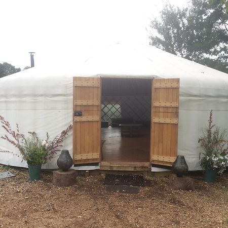 Silver Airstream Glamping & Rental Chichester Eksteriør bilde