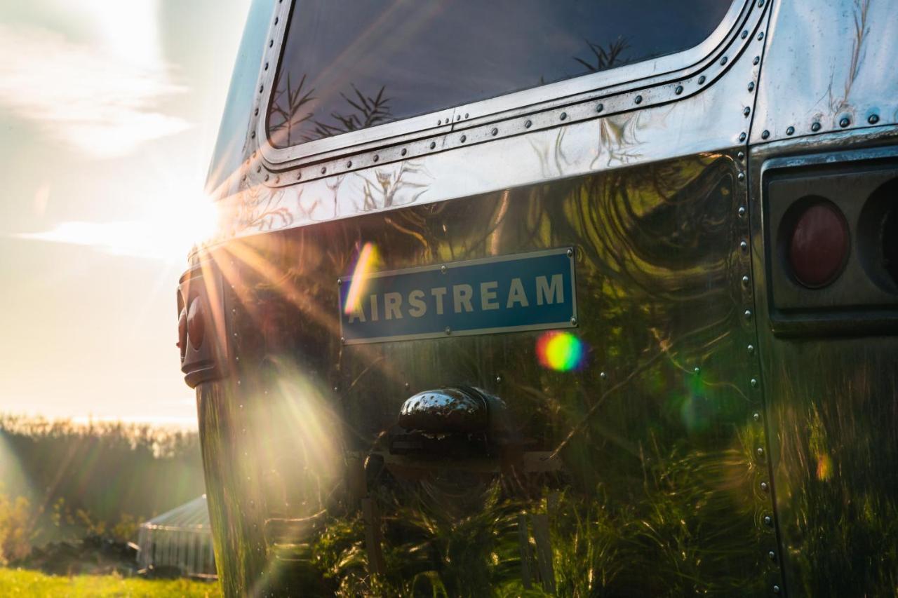 Silver Airstream Glamping & Rental Chichester Eksteriør bilde